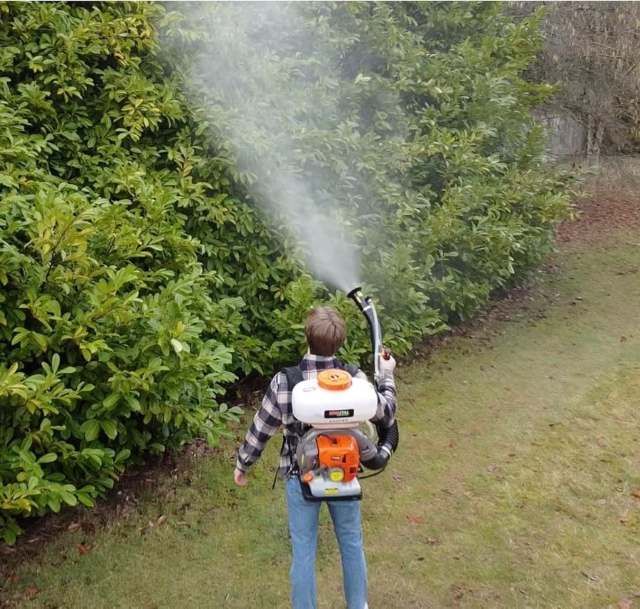 A man spraying mosquito repellant oil with fogger machine