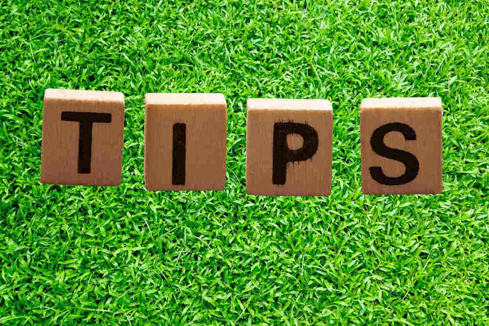 This image provides tips for maintaining a zoysia grass lawn.